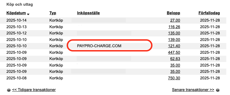 Exempel på bankutdrag med transaktionsnamn inringat